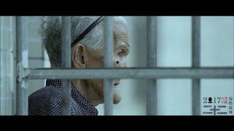 国产的禁的视频在线播放,在线播放背后的真相与挑战