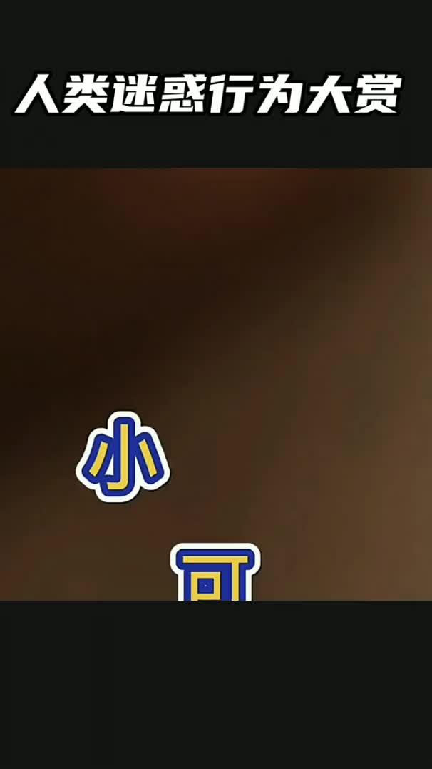 国产天天视频天天更新,每日更新，精彩不断