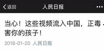 中国产变态视频网站,暗流涌动的网络迷雾