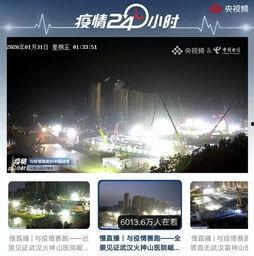 国产视频视全能在线,畅享视听盛宴，解锁影视新体验