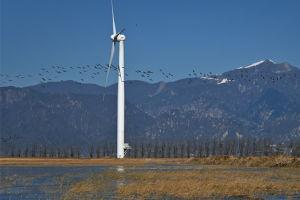 国产区视频在线入口,在线入口带你领略精彩瞬间