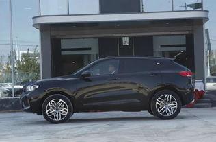 国产轿车被骂视频,质量问题与消费者权益的碰撞