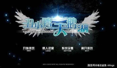 国产小说小视频网站,小视频网站带你领略文学魅力