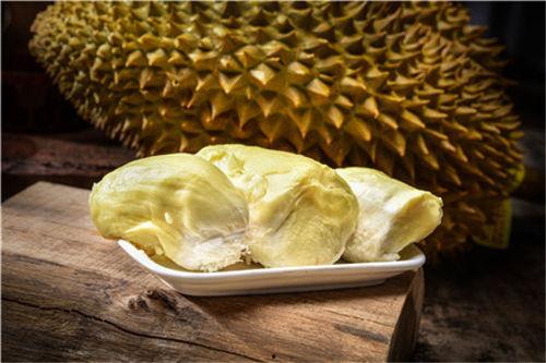 国产榴莲培育过程视频大全