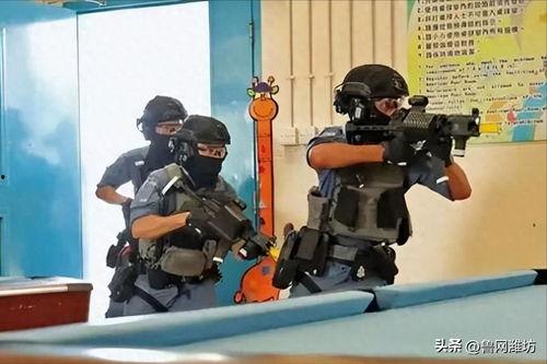 国产枪对比视频